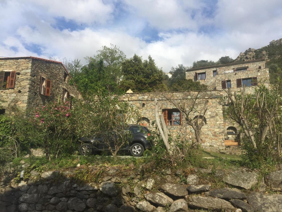 Résidence Casa Di Roc Urtaca Extérieur photo
